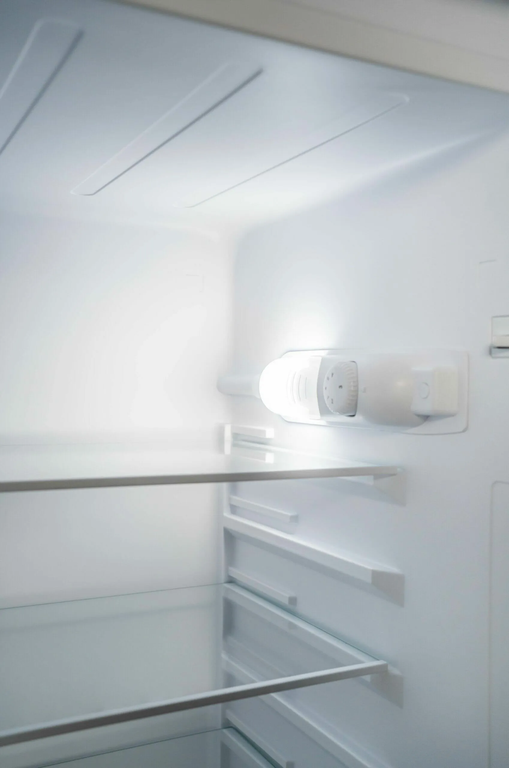 Danby DPF074V1SLDB6 Danby 7.4 Cu. Ft. Partial Defrost Fridge In Stainless Steel