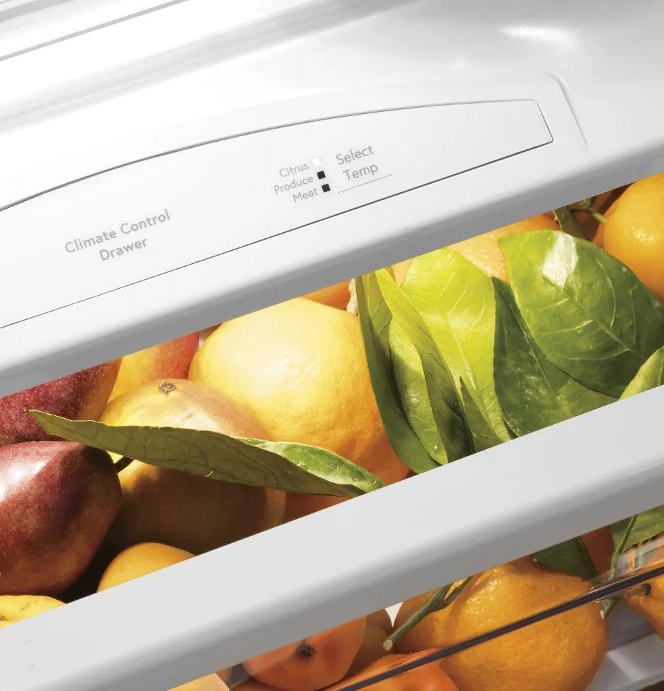 Ge Appliances PSB48YSRSS Ge Profile&#8482; Series 48 Smart Built-In Side-By-Side Refrigerator With Dispenser