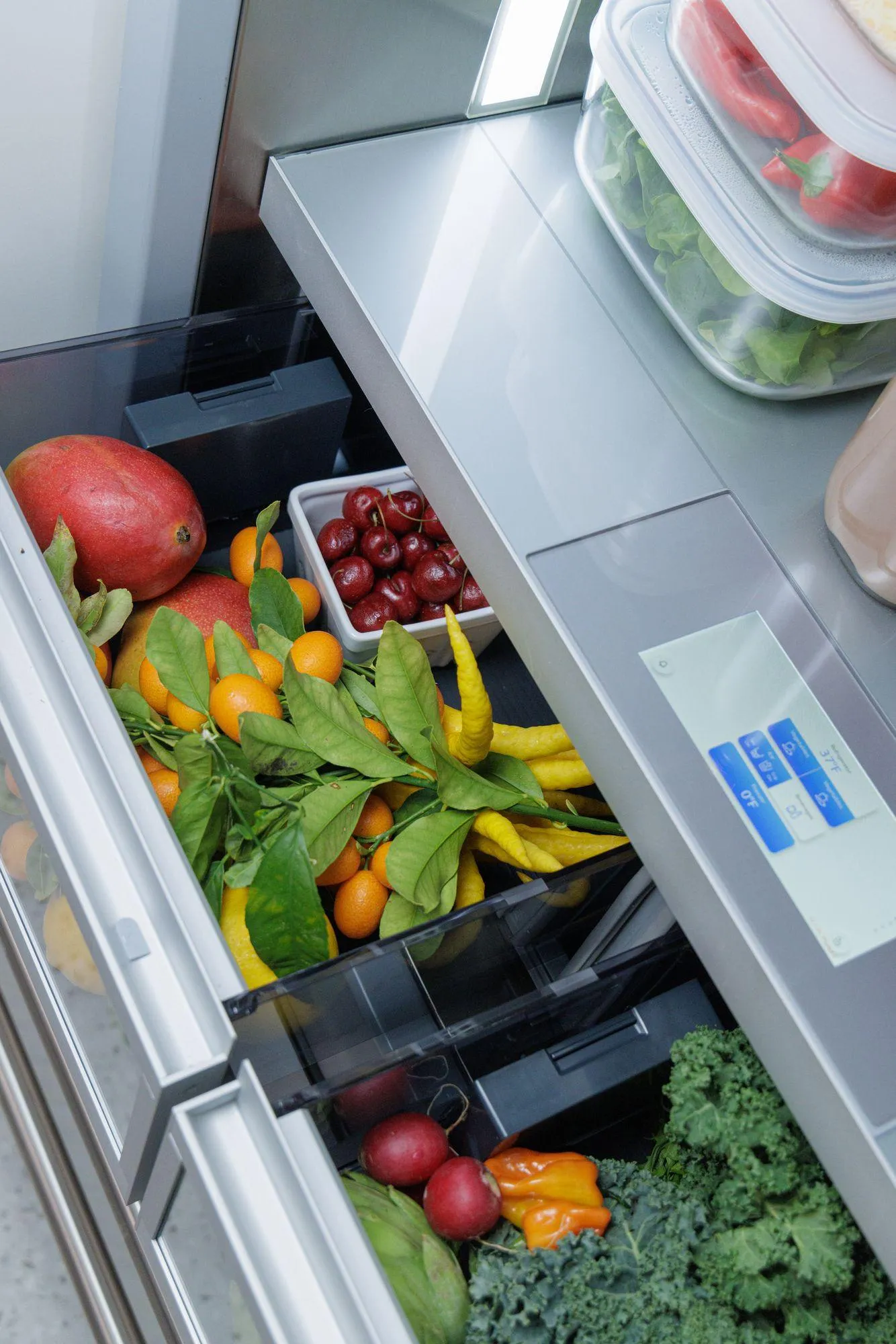 Thermador T36BT110NS T36Bt110Ns Built-In French Door Bottom Freezer